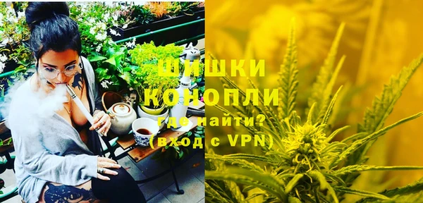 шишки Алзамай