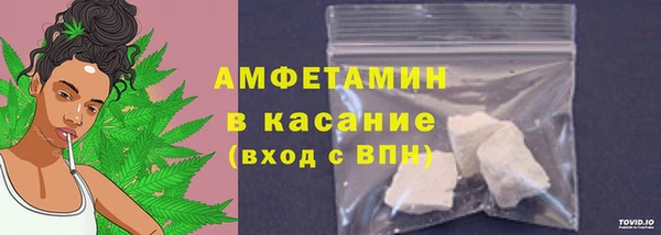 гашик Алексин