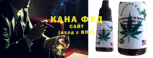 гашик Алексин