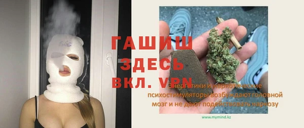 гашик Алексин