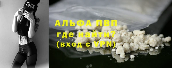 шишки Алзамай