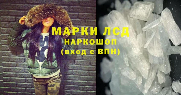 гашик Алексин