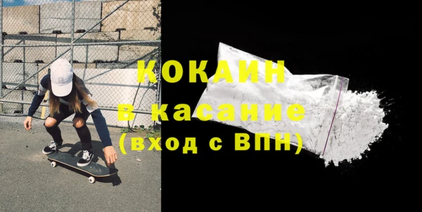 гашик Алексин