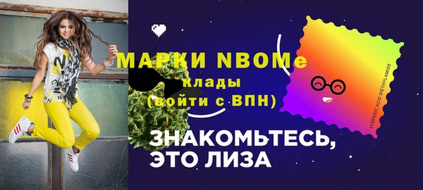 гашик Алексин
