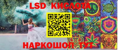 дживик Аша