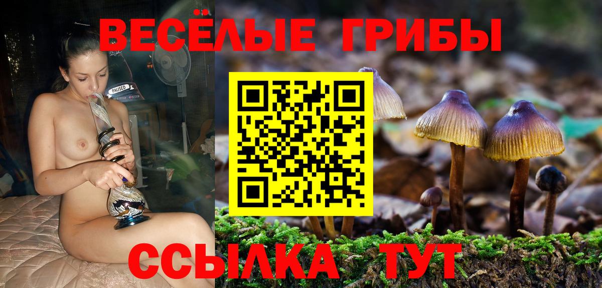 Галлюциногенные грибы GOLDEN TEACHER Курган