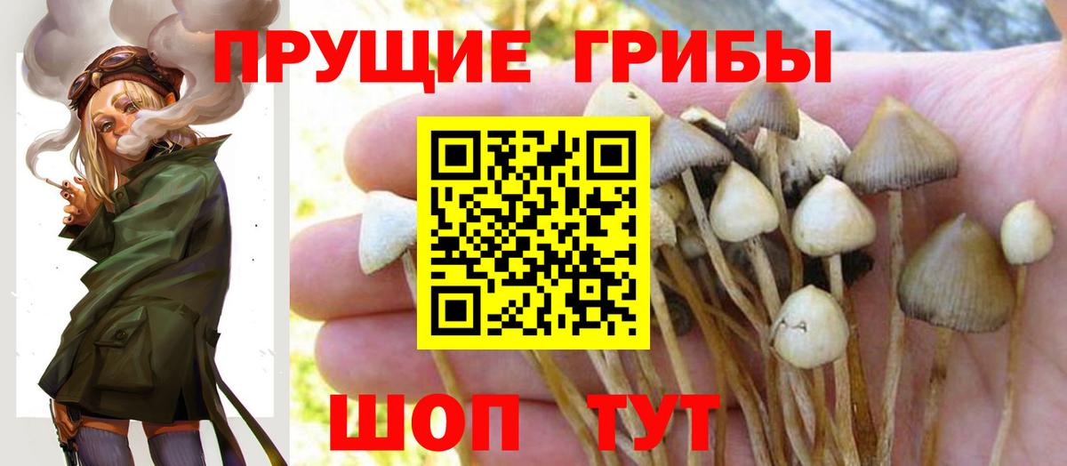 Галлюциногенные грибы прущие грибы  Вход с VPN  Курган 