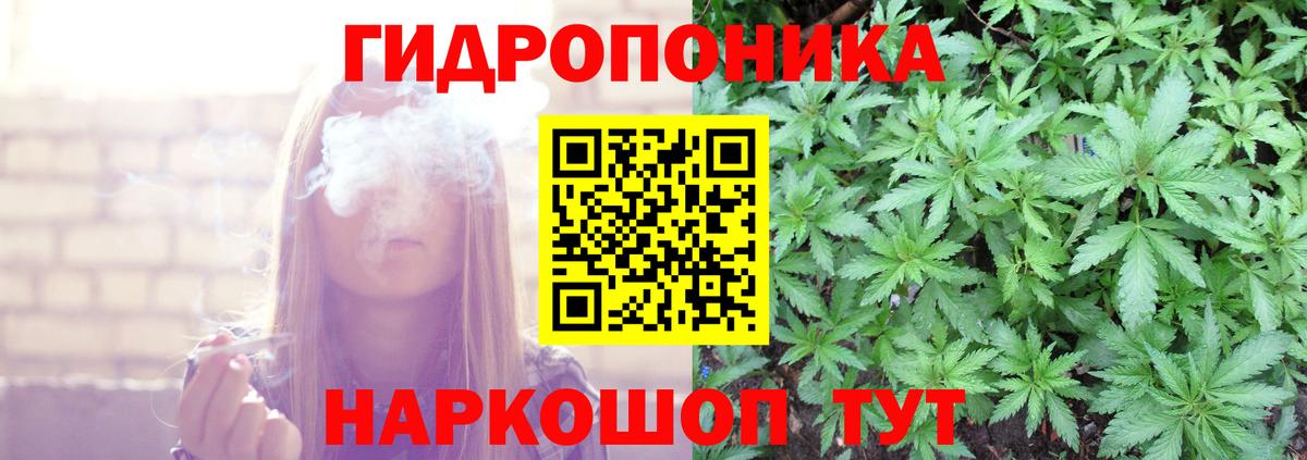 Курган  Бошки марихуана тримм  Вход с VPN  Марихуана планчик  Каннабис SATIVA & INDICA  Каннабис семена 